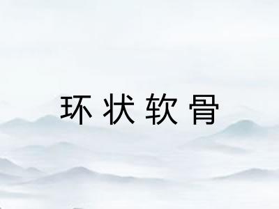 环状软骨