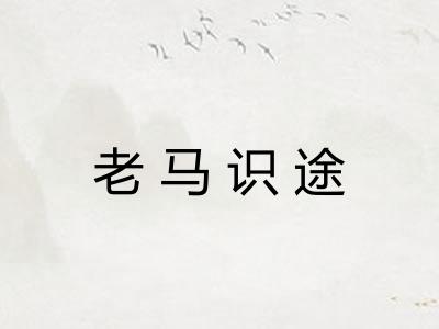 老马识途