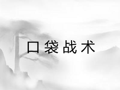 口袋战术