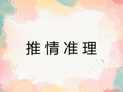 推情准理