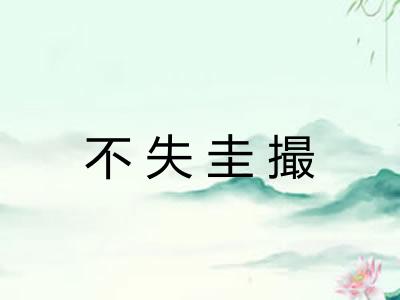 不失圭撮