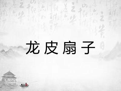 龙皮扇子
