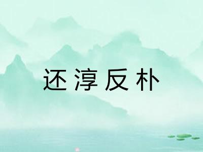 还淳反朴