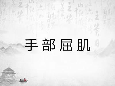 手部屈肌