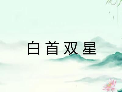 白首双星