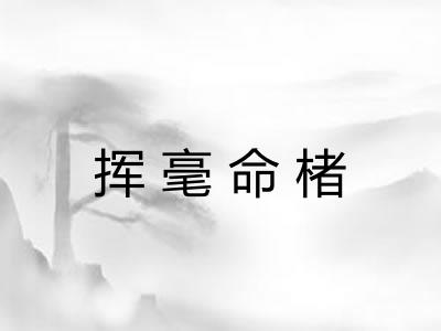 挥毫命楮
