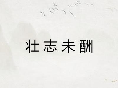 壮志未酬