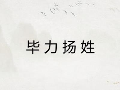 毕力扬姓
