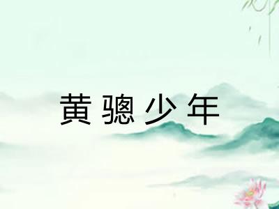 黄骢少年