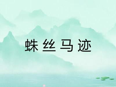 蛛丝马迹