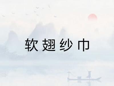 软翅纱巾