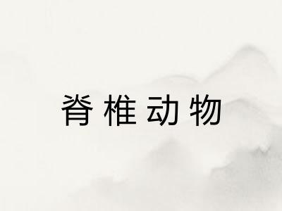 脊椎动物