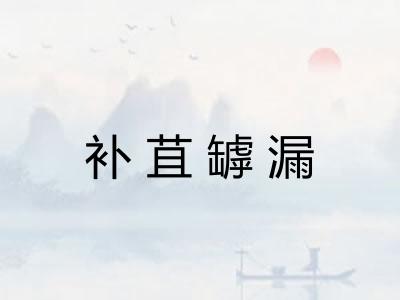 补苴罅漏
