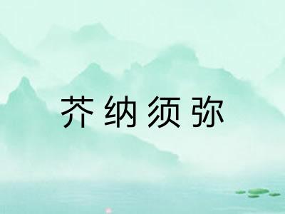 芥纳须弥