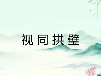 视同拱璧