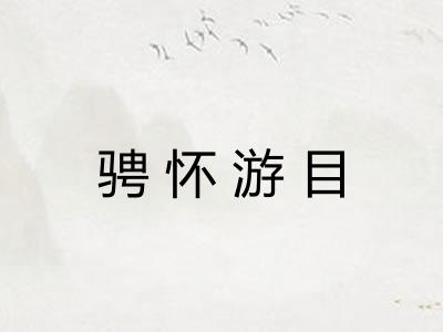 骋怀游目