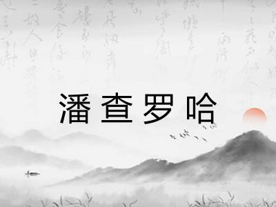 潘查罗哈