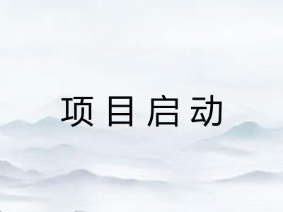 项目启动