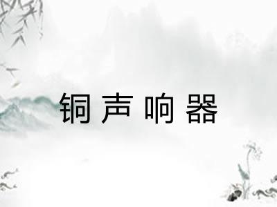 铜声响器