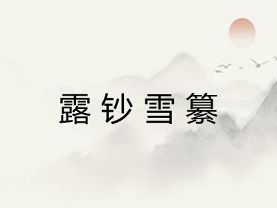 露钞雪纂