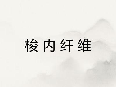 梭内纤维