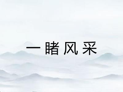 一睹风采