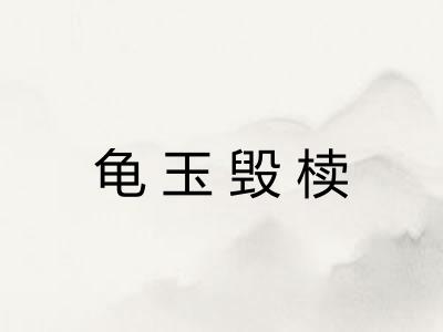 龟玉毁椟