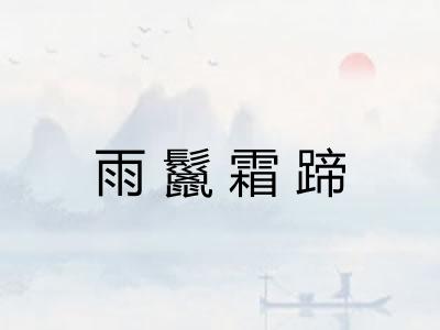 雨鬣霜蹄