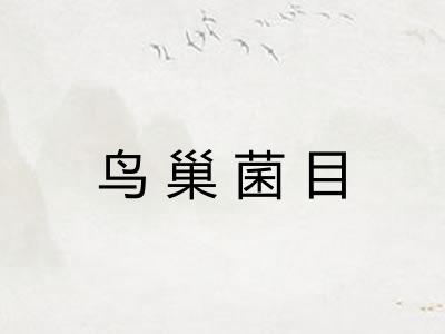 鸟巢菌目