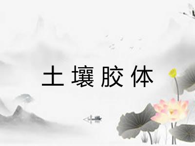 土壤胶体