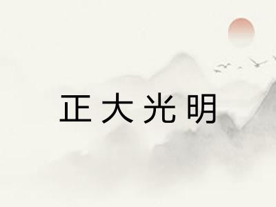 正大光明 正大光明