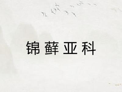 锦藓亚科