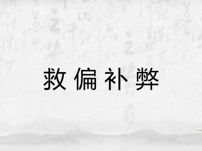 救偏补弊