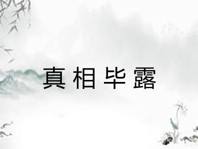 真相毕露