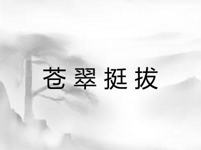 苍翠挺拔