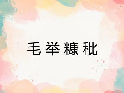 毛举糠秕