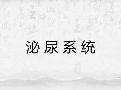 泌尿系统