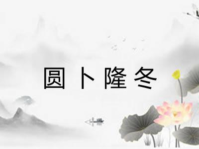 圆卜隆冬