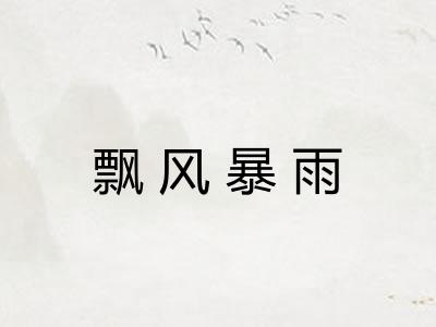 飘风暴雨