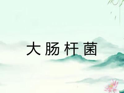 大肠杆菌
