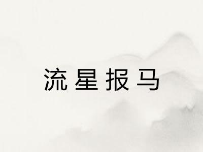 流星报马
