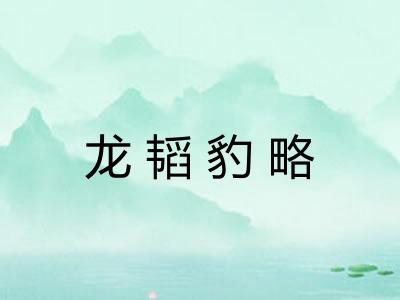 龙韬豹略