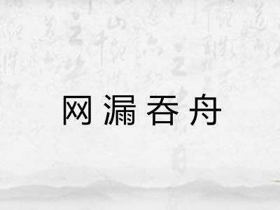 网漏吞舟