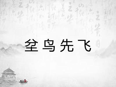 坌鸟先飞