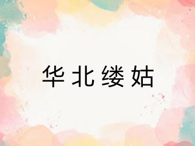 华北缕姑