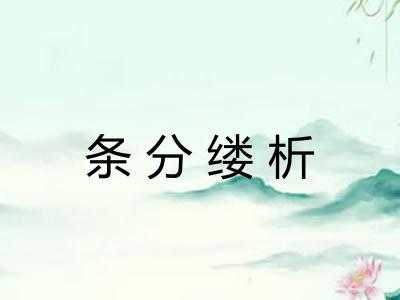 条分缕析