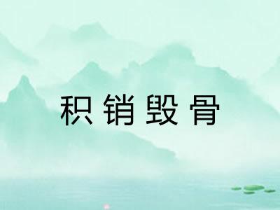 积销毁骨