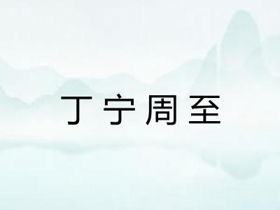 丁宁周至