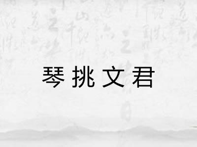 琴挑文君