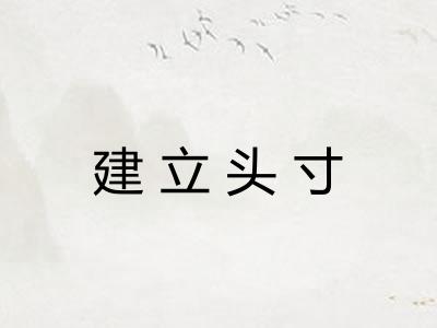 建立头寸